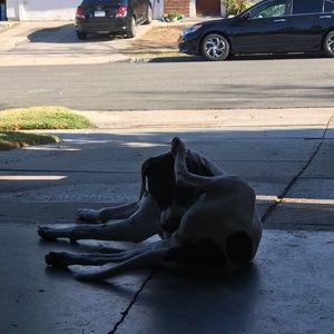 Meet your Posher, Joseph